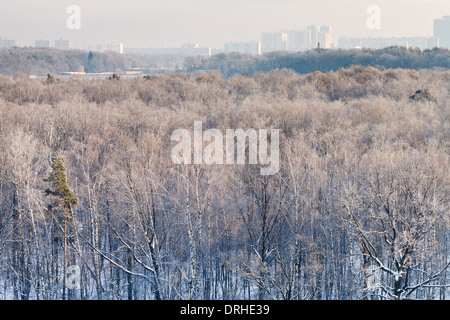 Premier lever de soleil illuminent city park en hiver, Moscou Banque D'Images