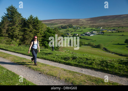 Walker sur le Wicklow Way dans la vallée de Glencullen, montagnes de Dublin, comté de Dublin, Irlande. Banque D'Images