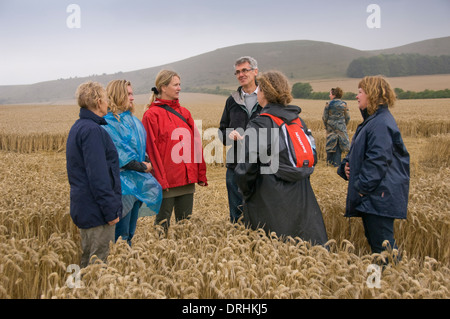 Les cercles de récolte dans les champs de blé près de Alton Barnes, Wiltshire.Ces créations s'aplatissent les cultures pour faire des modèles intéressants. Banque D'Images