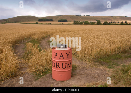 Les cercles de récolte dans les champs de blé près de Alton Barnes, Wiltshire.Ces créations s'aplatissent les cultures pour faire des modèles intéressants. Banque D'Images