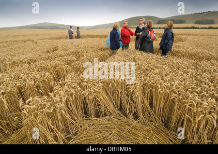 Les cercles de récolte dans les champs de blé près de Alton Barnes, Wiltshire.Ces créations s'aplatissent les cultures pour faire des modèles intéressants. Banque D'Images