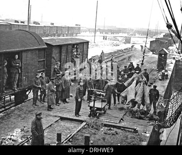 La viande de déchargement du bateau au train, Western Front, WW1 Banque D'Images