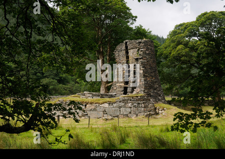 Ruines de la broch Dun Telve, Glen Beag, Ross et Cromarty, Ecosse Banque D'Images