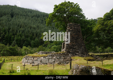 Ruines de la broch Dun Telve, Glen Beag, Ross et Cromarty, Ecosse Banque D'Images