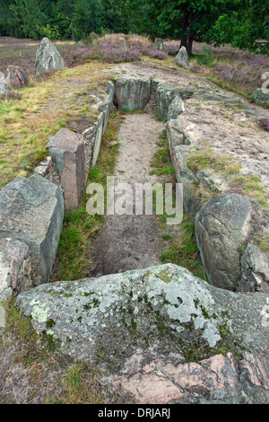 Totenstatt Oldendorfer Passage tombe du, site mégalithique à Oldendorf près de Amelinghausen, Lueneburg Heath, Basse-Saxe, Allemagne Banque D'Images