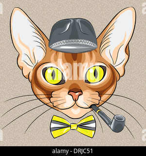 Application couleurs croquis du dessin animé rouge race Abyssin chat hipster Banque D'Images