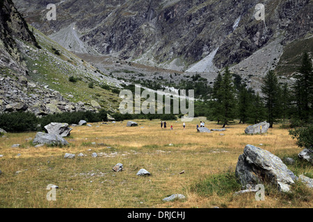 Le Pré de Mme Carle à Ailefroide, Hautes-Alpes, France. Banque D'Images