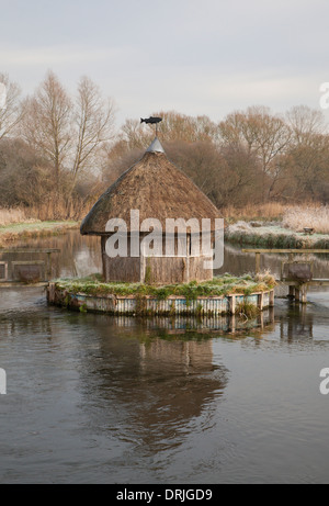Givre sur la rivière et d'essai, cabane de pêche sur la chaume Longstock, Hampshire, Angleterre Banque D'Images