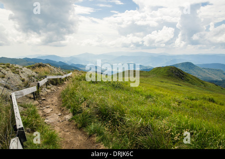 Chemin de trekking dans les montagnes Bieszczady, Pologne Banque D'Images