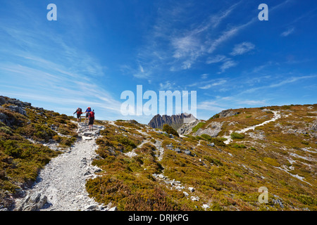 Les randonneurs d'atteindre le sommet d'une crête avec Cradle Mountain en arrière-plan (Tasmanie) Banque D'Images