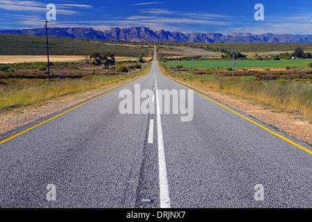 R364 entre rue Lamberts Bay et de Clanwilliam, dans l'arrière-plan l'Cederberge, à l'ouest le cap, Western Cape, Afrique du Sud, l'Afric Banque D'Images