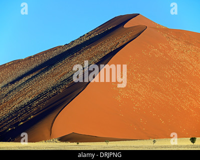 De gigantesques dunes de sable dans la dernière lumière du soir, le Parc National Namib Naukluft, Sossusvlei, Namibie, Afrique, riesige im Sandduenen Banque D'Images