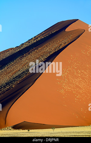 De gigantesques dunes de sable dans la dernière lumière du soir, le Parc National Namib Naukluft, Sossusvlei, Namibie, Afrique, riesige im Sandduenen Banque D'Images