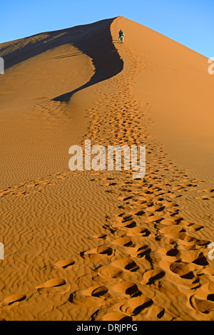 De gigantesques dunes de sable dans la dernière lumière du soir, le Parc National Namib Naukluft, Sossusvlei, Namibie, Afrique, riesige im Sandduenen Banque D'Images