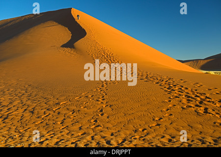 De gigantesques dunes de sable dans la dernière lumière du soir, le Parc National Namib Naukluft, Sossusvlei, Namibie, Afrique, riesige im Sandduenen Banque D'Images