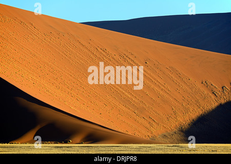 De gigantesques dunes de sable dans la dernière lumière du soir, le Parc National Namib Naukluft, Sossusvlei, Namibie, Afrique, riesige im Sandduenen Banque D'Images