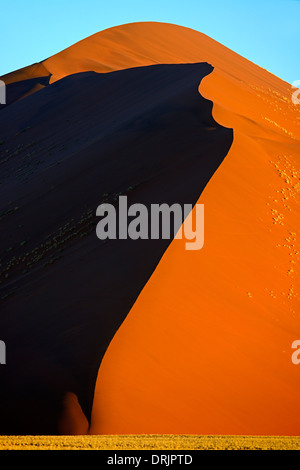 De gigantesques dunes de sable dans la dernière lumière du soir, le Parc National Namib Naukluft, Sossusvlei, Namibie, Afrique, riesige im Sandduenen Banque D'Images