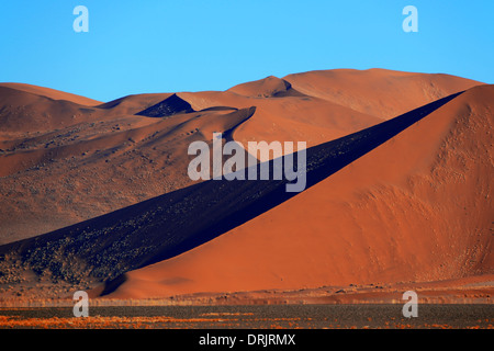 De gigantesques dunes de sable dans la première lumière du matin, le Parc National Namib Naukluft, Sossusvlei, Namibie, Afrique, j'Sandduenen riesige Banque D'Images