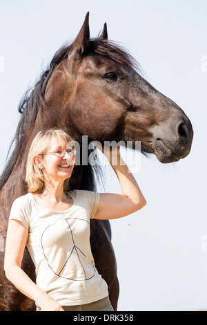 Noriker Cheval. Femme près de black gelding Banque D'Images