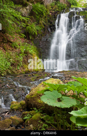 Forsemoella appelé Cascade, Scania, Suède Banque D'Images