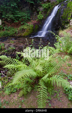 Forsemoella appelé Cascade, Scania, Suède Banque D'Images