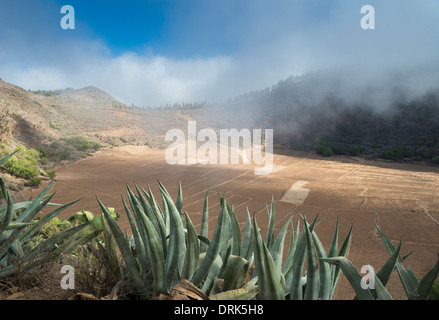 Caldera de los Marteles, Gran Canaria, est un grand cratère hydrovolcanic, formé par l'interaction de magma chaud avec de l'eau externe Banque D'Images