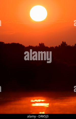 Lever du soleil au lac Kerkini, Grèce Banque D'Images