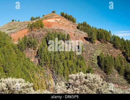 Roque del Pino, un cône volcanique dans le centre de Gran Canaria, près de Caldera de los Marteles Banque D'Images