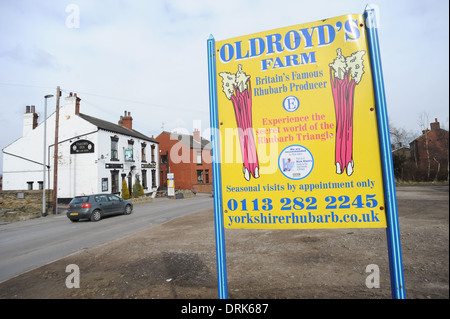 Oldroyds ferme la rhubarbe dans Carlton près de Wakefield, dans le West Yorkshire, England uk Banque D'Images