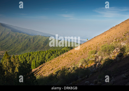 Vue vers le nord depuis les pentes du volcan Pico Birigoyo, Cumbre Vieja, La Palma, vers la Cumbre Nueva Banque D'Images