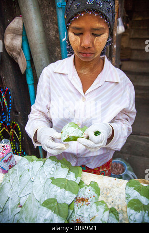 Woman wrapping Paan sur rue à Yangon, Myanmar Banque D'Images