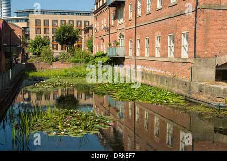 Étang des nénuphars, le logement, la navigation à pied, Leeds, Angleterre Banque D'Images