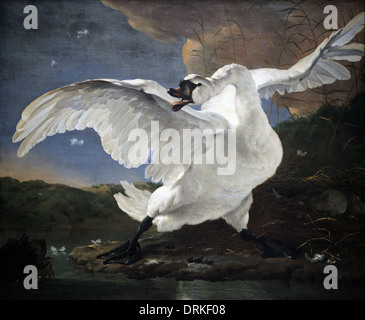 Le Cygne menacé (1'650) Jan Asselijn (v.1610 – 1652) peintre néerlandais de l'âge d'or. Banque D'Images