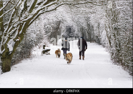 HERTFORD, UK - 21 janvier 2013 : deux personnes avec deux chiens à pied sur un chemin couvert de neige, Cole Green Way. Banque D'Images