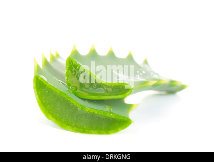 Morceaux de l'aloe vera Banque D'Images