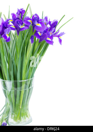 Fleurs bleu irise posy in vase Banque D'Images