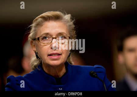 Vice-secrétaire par intérim de la Défense Christine Fox témoigne devant la Commission des forces armées du Sénat à l'immeuble de bureaux du Sénat Dirksen, 28 janvier 2014 à Washington D.C. Banque D'Images