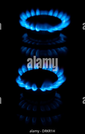 Les flammes bleues de deux brûleurs cuisinière dans le noir Banque D'Images