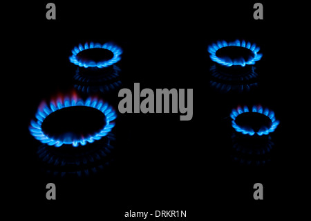 Les flammes bleues de quatre brûleurs cuisinière dans le noir Banque D'Images