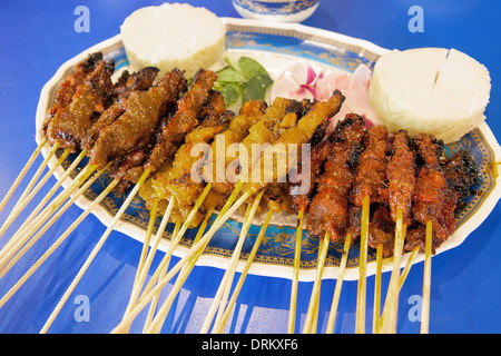 Boeuf Satay de poulet et de mouton avec Concombres Oignons et gâteau de riz Banque D'Images