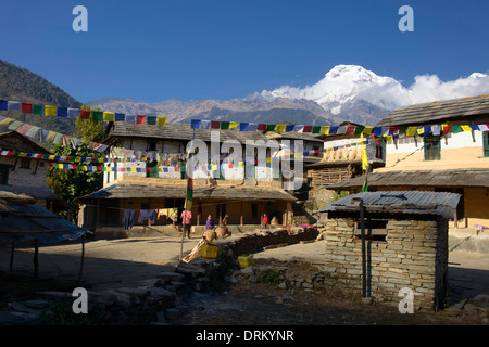 Maisons traditionnelles de Ghandruk Gurung village dans la région du Népal Annapurna Banque D'Images