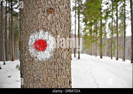 Point rouge signe sur un arbre le marquage d'une route touristique de randonnée Banque D'Images