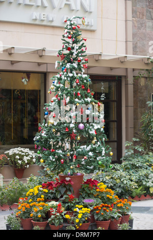 Un arbre de Noël à l'extérieur d'un hôtel à Delhi, Inde. Banque D'Images