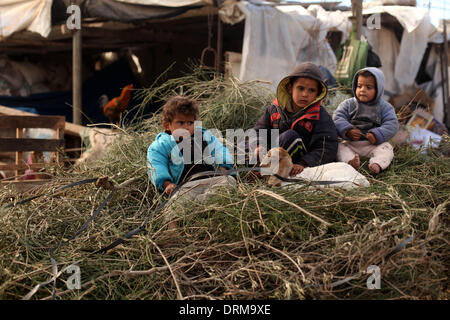 Gaza, Territoires palestiniens. 29 janvier, 2014. Badawi enfants palestiniens qui jouaient avec des chèvres en dehors de sa cabane de la famille dans la ville de Gaza, le 29 janvier 2014. Credit : Majdi Fathi/NurPhoto ZUMAPRESS.com/Alamy/Live News Banque D'Images