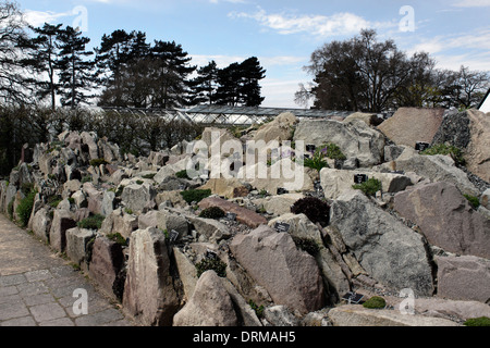 Récemment construit et planté ROCK GARDEN À RHS WISLEY. Banque D'Images