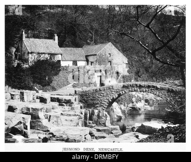 Newcastle Jesmond Dene, photographié vers 1910 Banque D'Images