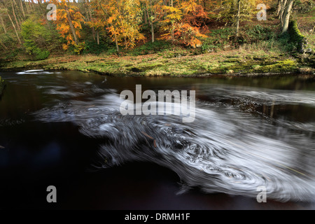 L'automne, de la rivière Ribble, Yorkshire Dales National Park, England, UK Banque D'Images