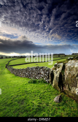 Norber Dale près du village de Austwick, Yorkshire Dales National Park, England, UK Banque D'Images