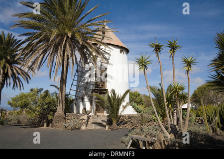 Museo Agrícola El Patio Tiagua musée privé consacré à l'histoire de l'agriculture Lanzarote offre un aperçu de la culture des Canaries Banque D'Images