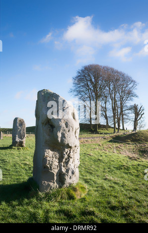 Avebury Wiltshire pierres et arbres en hiver Banque D'Images